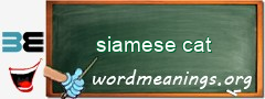WordMeaning blackboard for siamese cat
